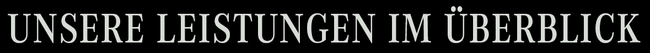 Unsere Leistungen im Überblick Überschrift "Unsere Leistungen im Überblick"